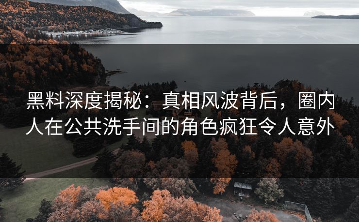 黑料深度揭秘：真相风波背后，圈内人在公共洗手间的角色疯狂令人意外
