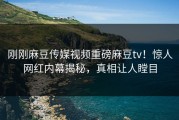 刚刚麻豆传媒视频重磅麻豆tv！惊人网红内幕揭秘，真相让人瞠目