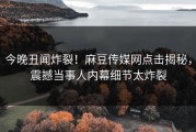 今晚丑闻炸裂！麻豆传媒网点击揭秘，震撼当事人内幕细节太炸裂