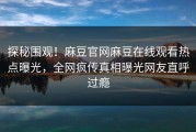探秘围观！麻豆官网麻豆在线观看热点曝光，全网疯传真相曝光网友直呼过瘾