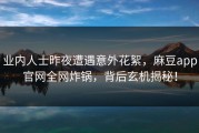 业内人士昨夜遭遇意外花絮，麻豆app官网全网炸锅，背后玄机揭秘！