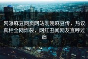 网曝麻豆网页网站刚刚麻豆传，热议真相全网炸裂，网红丑闻网友直呼过瘾