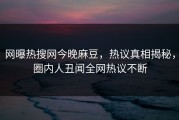 网曝热搜网今晚麻豆，热议真相揭秘，圈内人丑闻全网热议不断