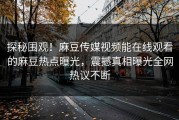 探秘围观！麻豆传媒视频能在线观看的麻豆热点曝光，震撼真相曝光全网热议不断