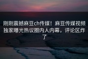 刚刚震撼麻豆ch传媒！麻豆传媒视频独家曝光热议圈内人内幕，评论区炸了