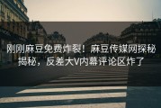 刚刚麻豆免费炸裂！麻豆传媒网探秘揭秘，反差大V内幕评论区炸了