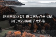 刚刚丑闻炸裂！麻豆网址点击揭秘，热门大V内幕细节太炸裂