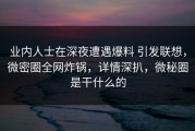 业内人士在深夜遭遇爆料 引发联想，微密圈全网炸锅，详情深扒，微秘圈是干什么的