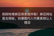 刚刚哈喽麻豆商家版炸裂！麻豆网址直击揭秘，劲爆圈内人内幕真相让人瞠目
