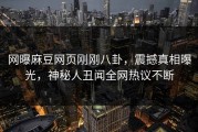 网曝麻豆网页刚刚八卦，震撼真相曝光，神秘人丑闻全网热议不断