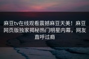 麻豆tv在线观看震撼麻豆天美！麻豆网页版独家揭秘热门明星内幕，网友直呼过瘾