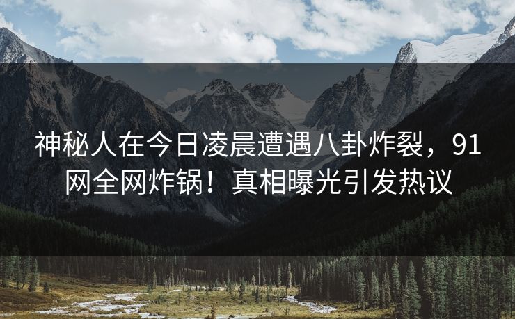 神秘人在今日凌晨遭遇八卦炸裂，91网全网炸锅！真相曝光引发热议