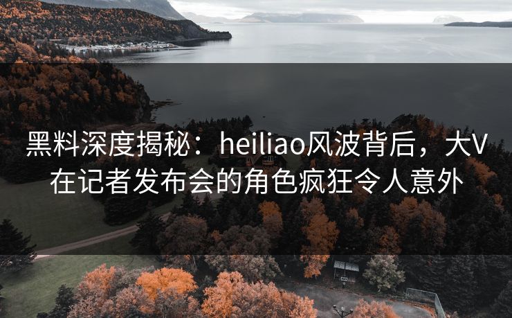 黑料深度揭秘：heiliao风波背后，大V在记者发布会的角色疯狂令人意外