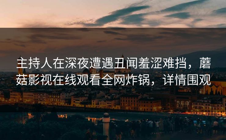 主持人在深夜遭遇丑闻羞涩难挡，蘑菇影视在线观看全网炸锅，详情围观